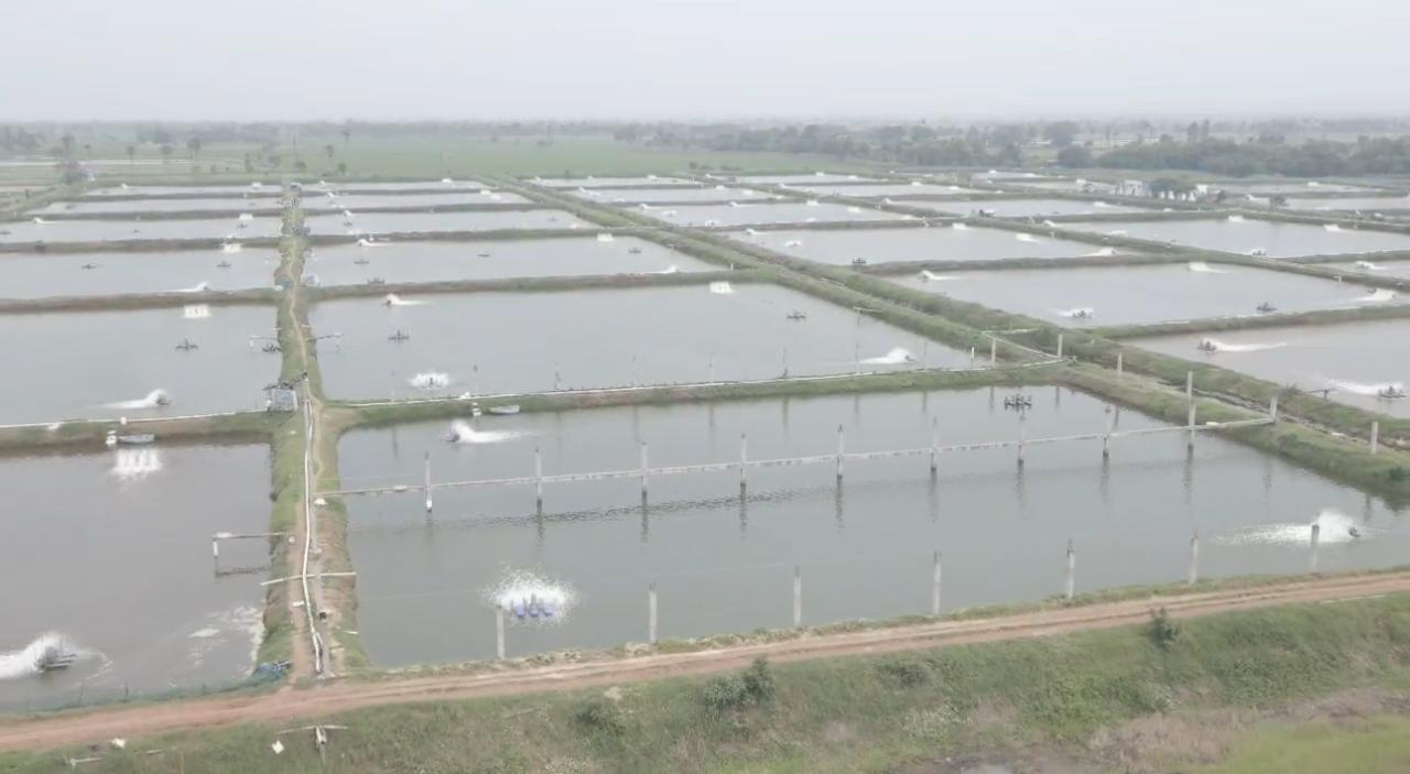 High-Tech Aquaculture Farms